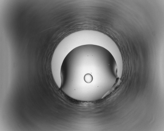 X0000095540137200801111441