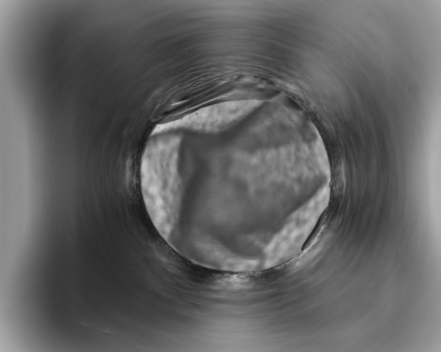 X0000095540140200801111441