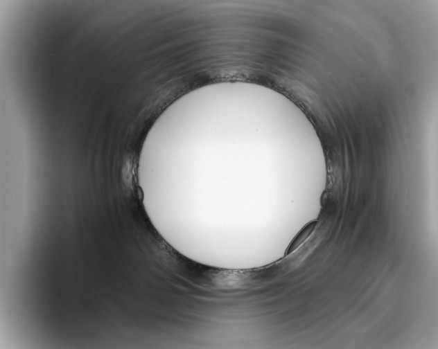 X0000095540142200801111441