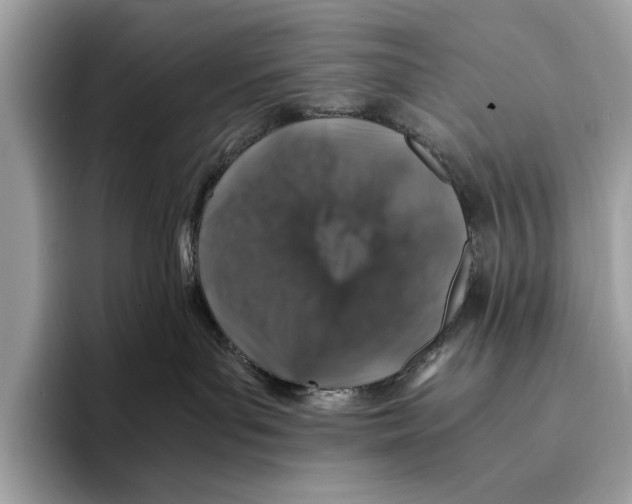 X0000095540143200801111441