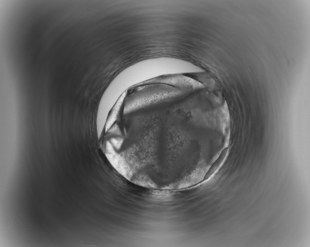 X0000095540144200801111441