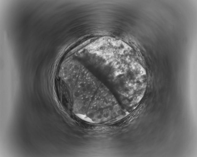 X0000095540145200801111440