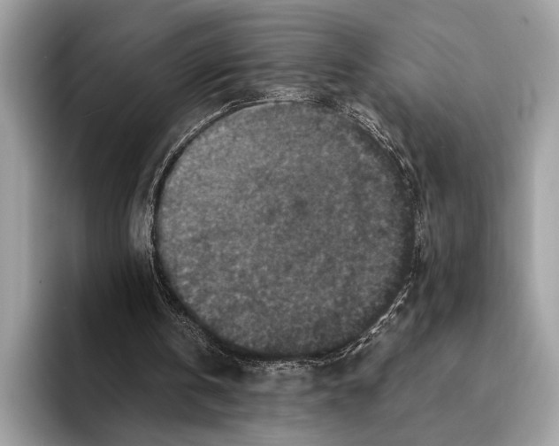 X0000095540146200801111440