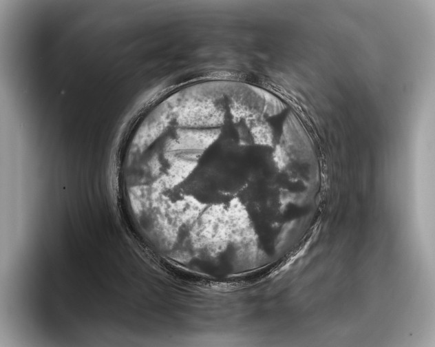 X0000095540149200801111440