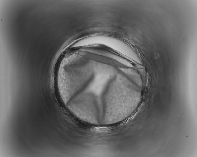 X0000095540150200801111440