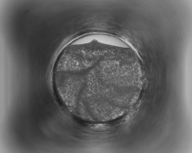 X0000095540151200801111440