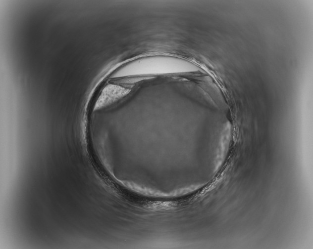 X0000095540152200801111440