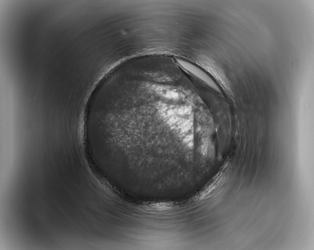 X0000095540156200801111440