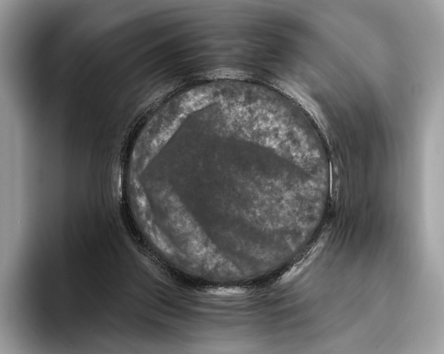 X0000095540157200801111440