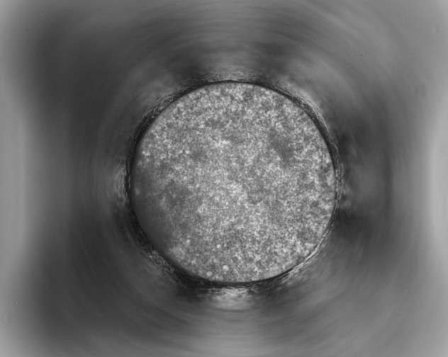 X0000095540162200801111440