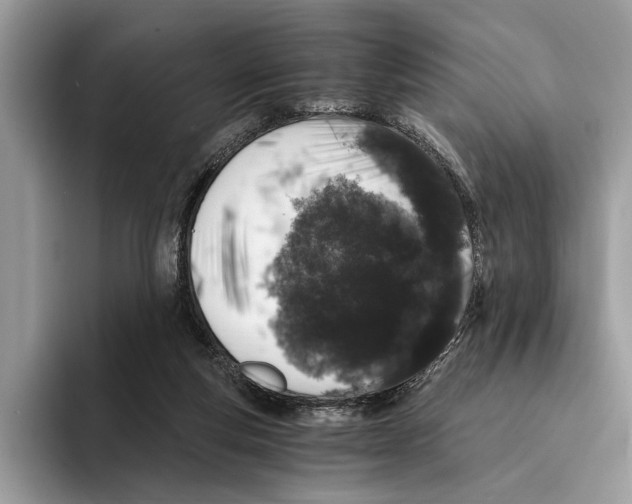 X0000095540163200801111440