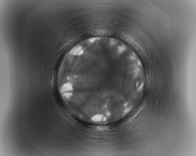 X0000095540165200801111440