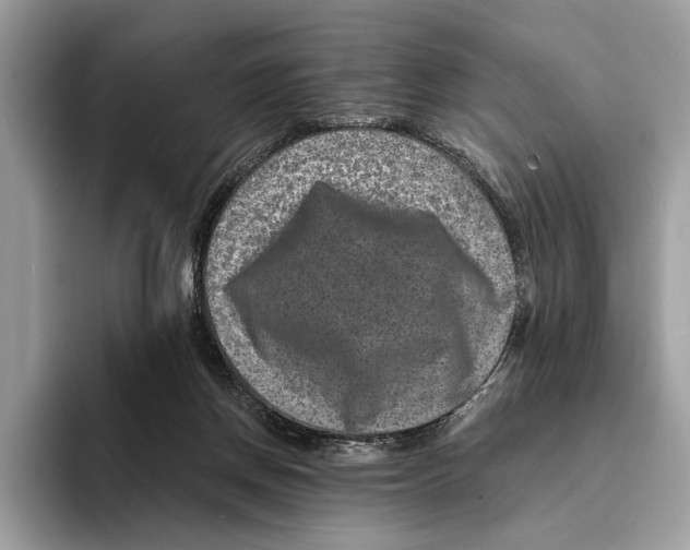 X0000095540166200801111440