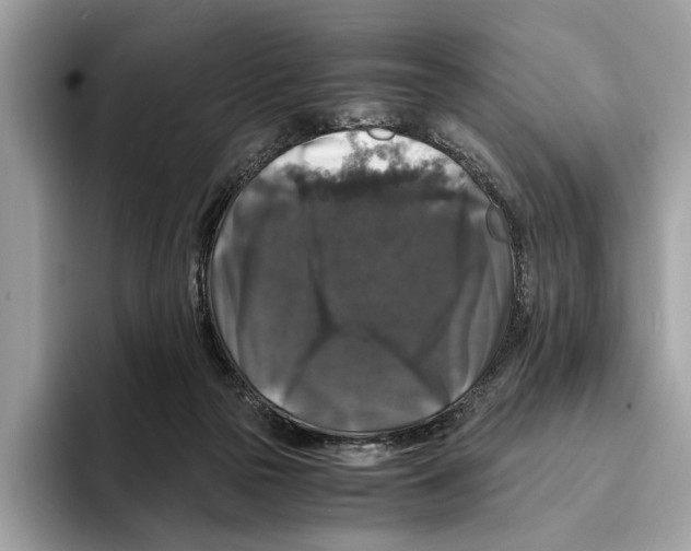 X0000095540169200801111440