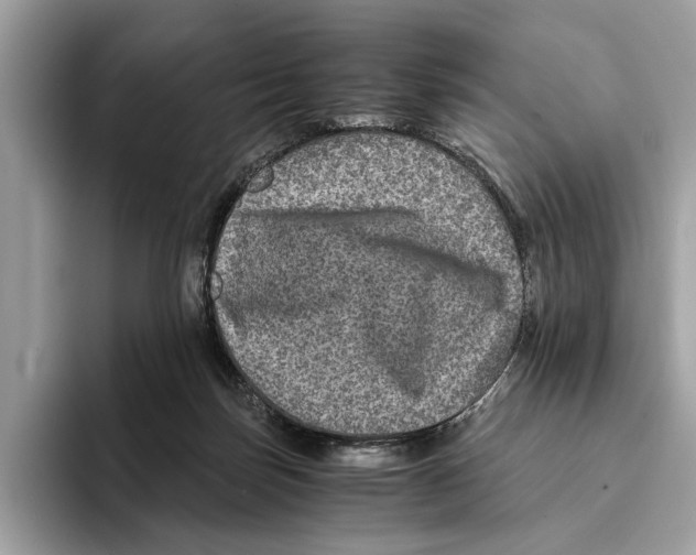 X0000095540171200801111440