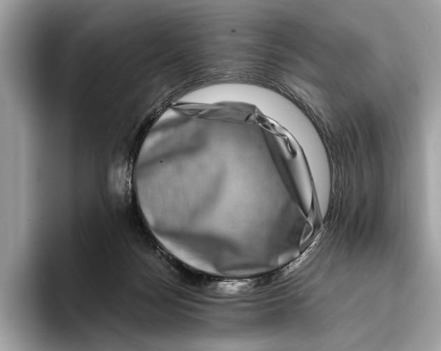 X0000095540172200801111440