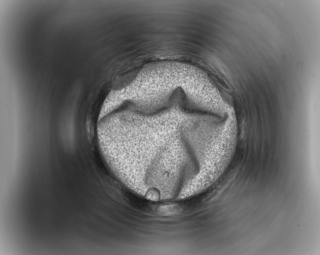 X0000095540173200801111440