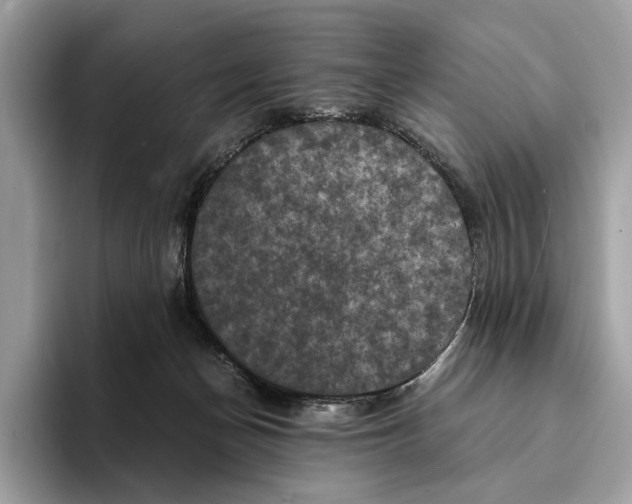 X0000095540174200801111440