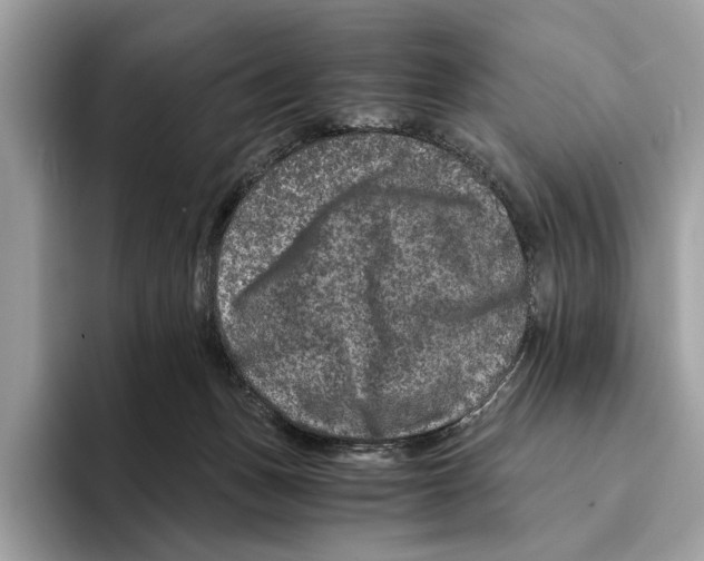 X0000095540175200801111440