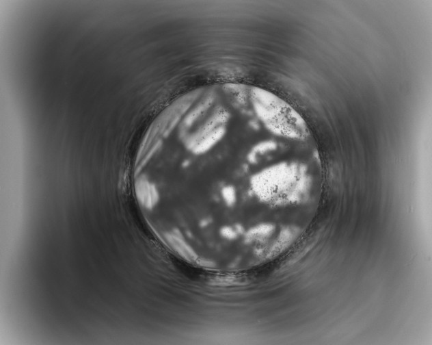 X0000095540177200801111440