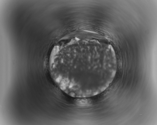 X0000095540181200801111440