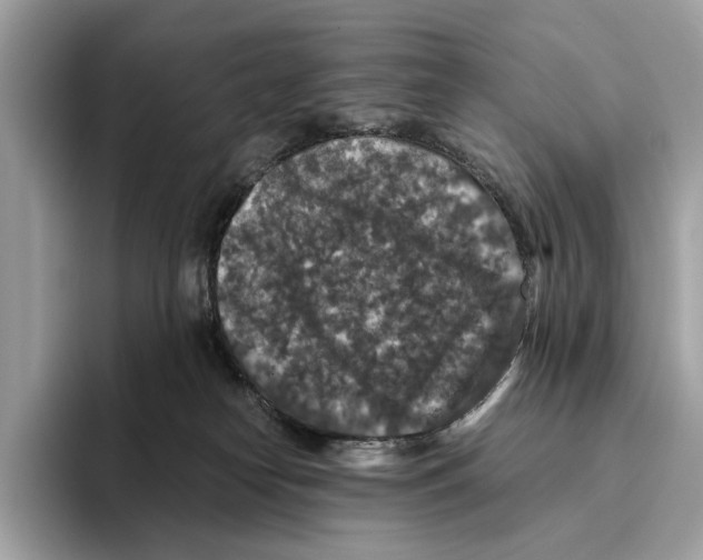 X0000095540182200801111440