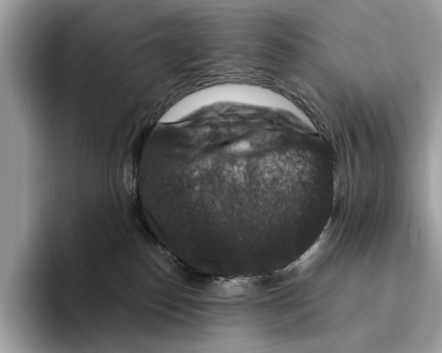 X0000095540186200801111440