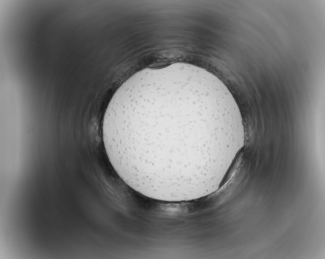 X0000095540187200801111440