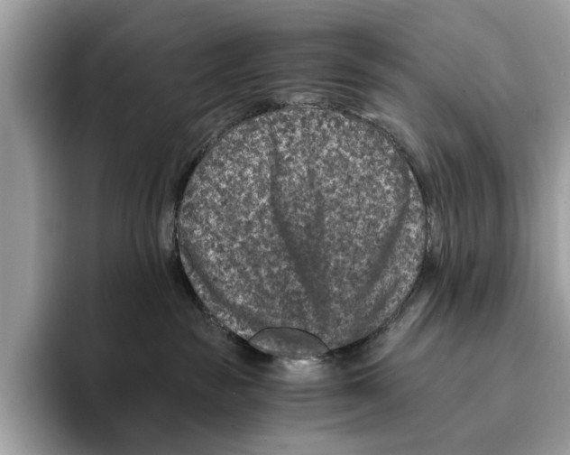 X0000095540189200801111440