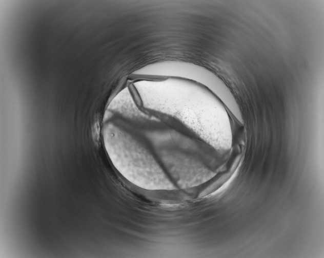 X0000095540190200801111440