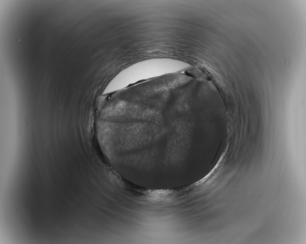 X0000095540192200801111440