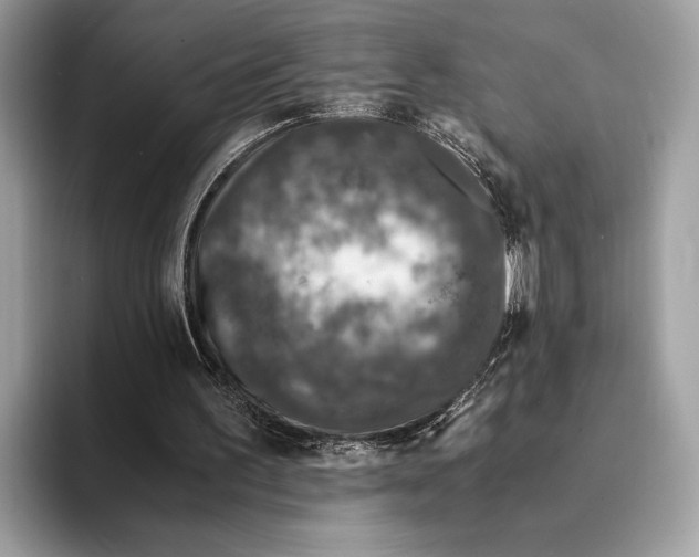 X0000095540195200801111440