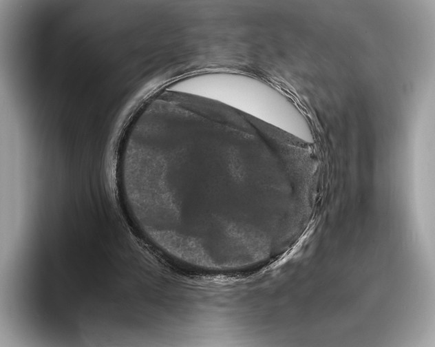 X0000095540197200801111440