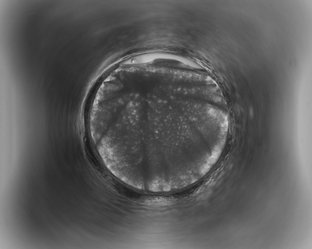 X0000095540198200801111440