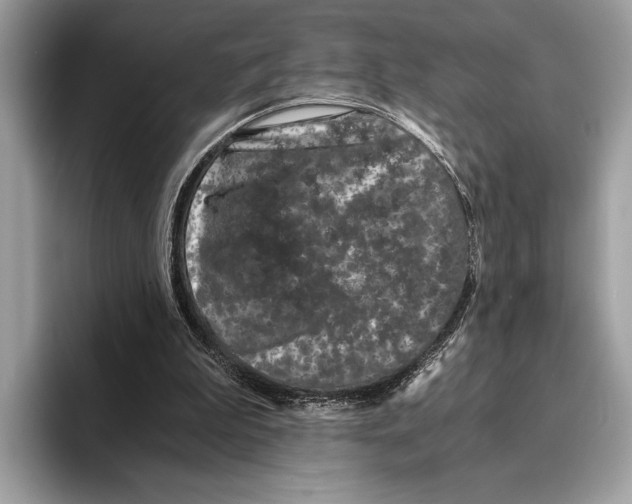 X0000095540199200801111440