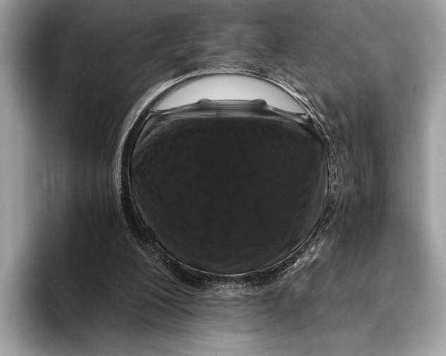 X0000095540200200801111440