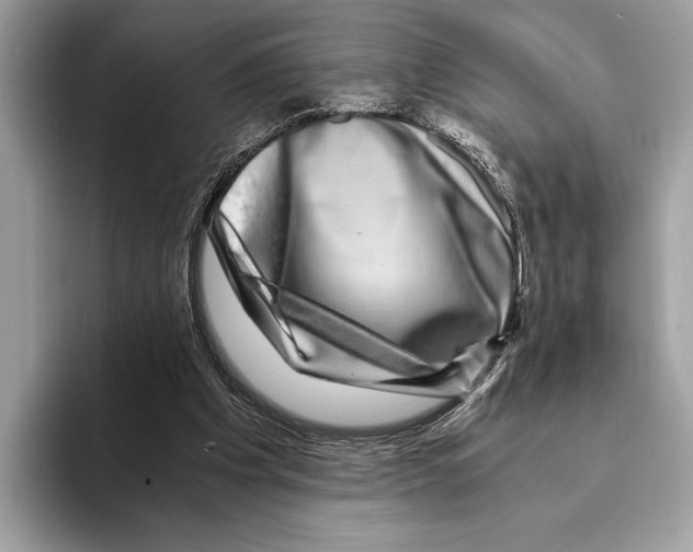 X0000095540201200801111440