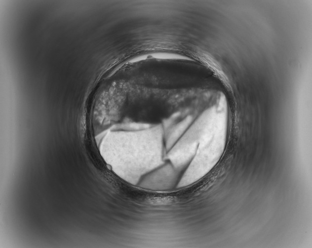 X0000095540202200801111440