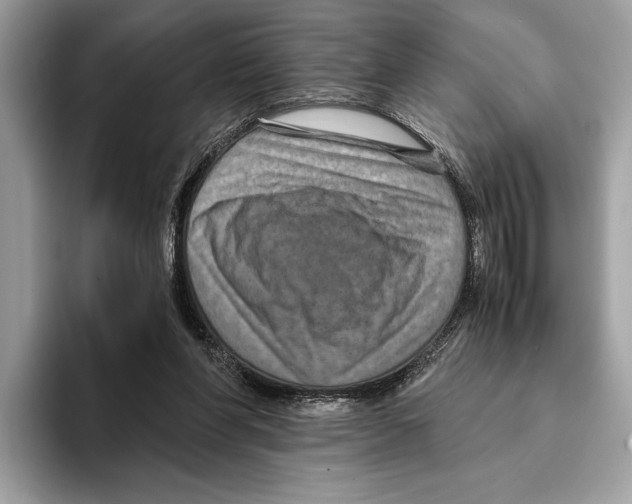 X0000095540206200801111440