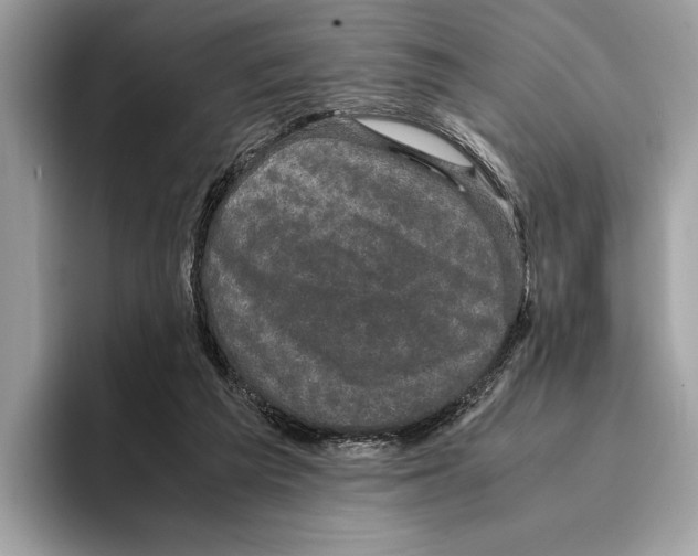 X0000095540209200801111440