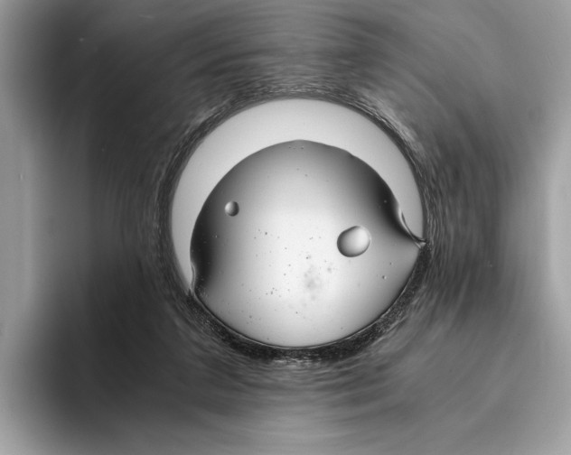 X0000095540211200801111440