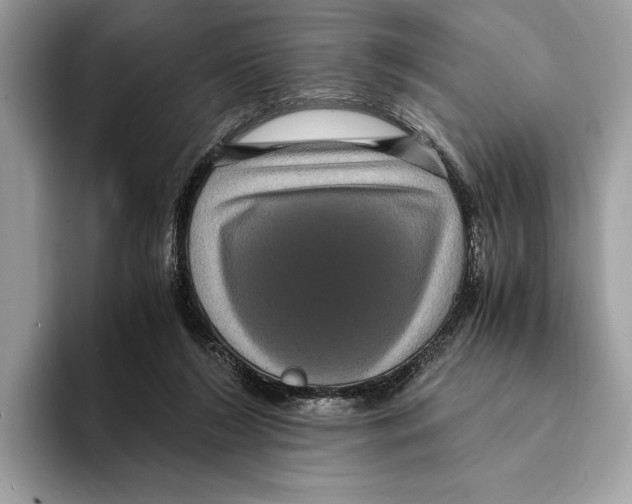 X0000095540212200801111440