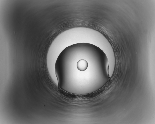 X0000095540215200801111440