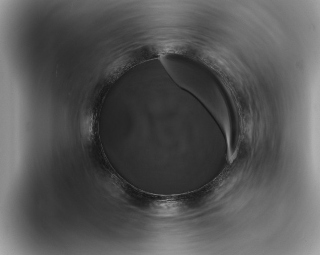 X0000095540219200801111440