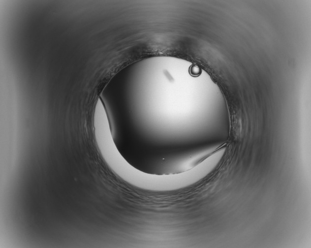 X0000095540221200801111440