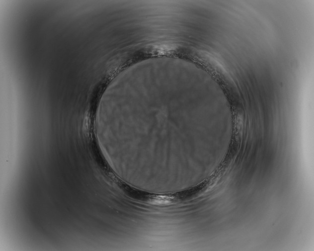 X0000095540222200801111439