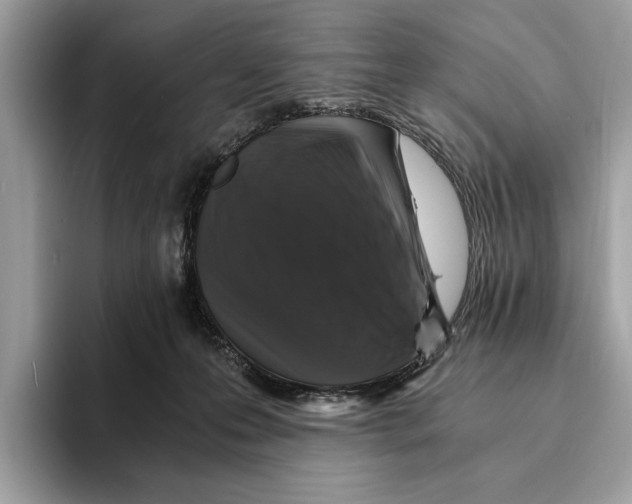 X0000095540223200801111439