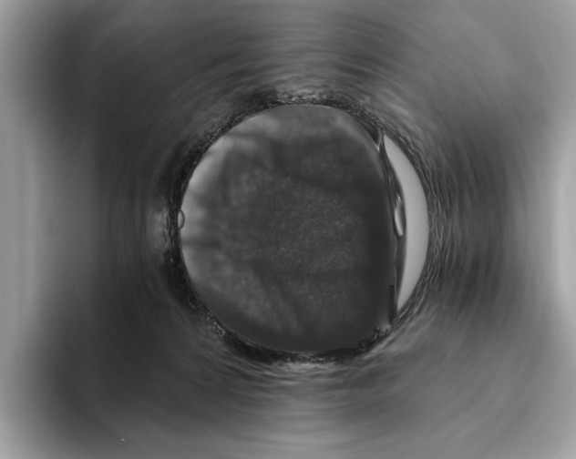 X0000095540224200801111439