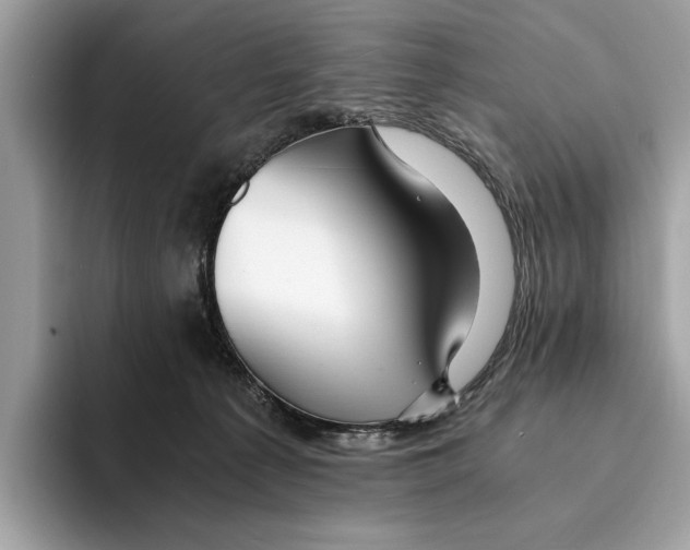 X0000095540225200801111439