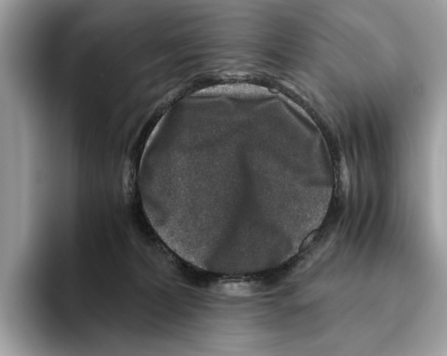 X0000095540228200801111439